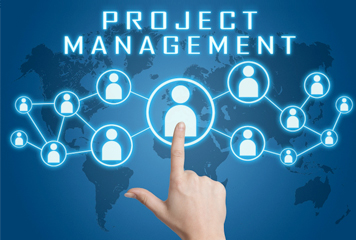 Project Development – Advisory Services